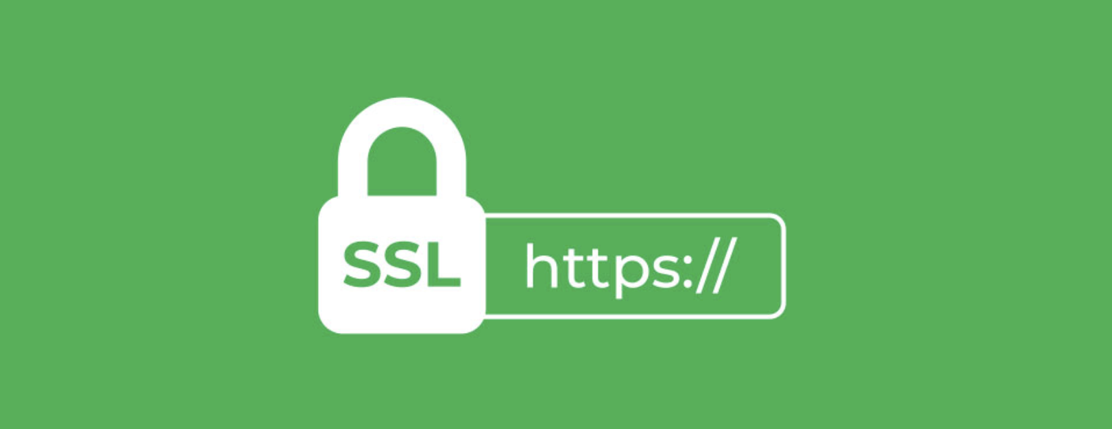 在Centos/Ubuntu/宝塔面板/1panel面板中自动续签let's免费ssl证书教程